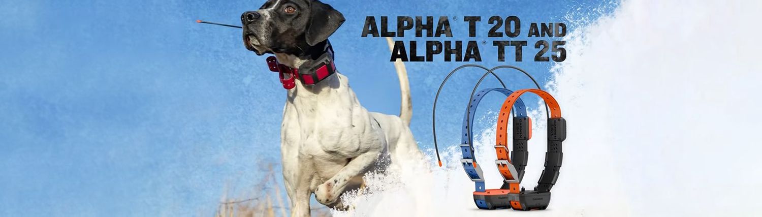 Alpha® TT 25 Dog Collar