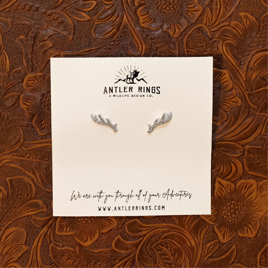 The Ash Studs