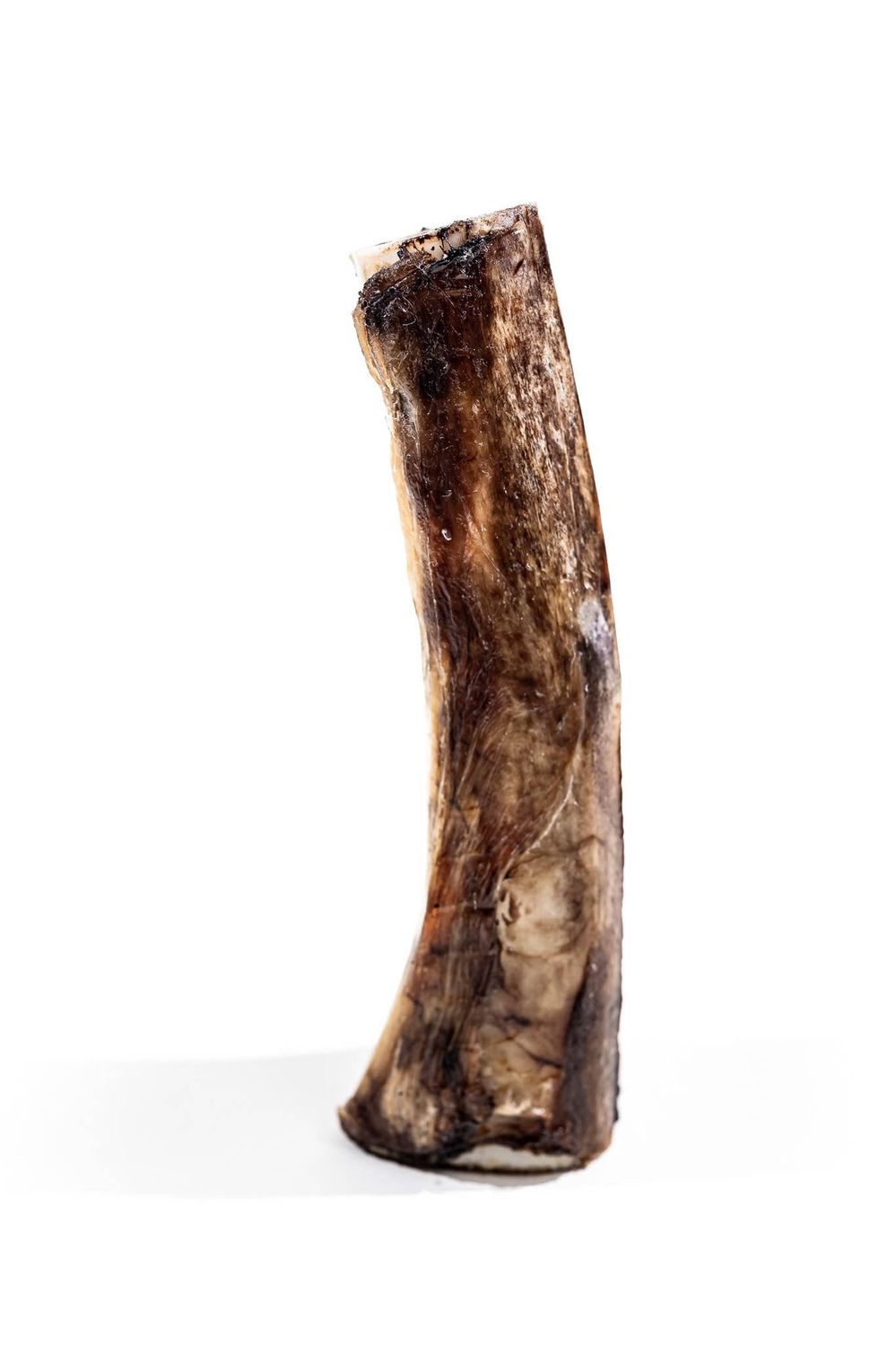 Bison Marrow Bone - 6-8"