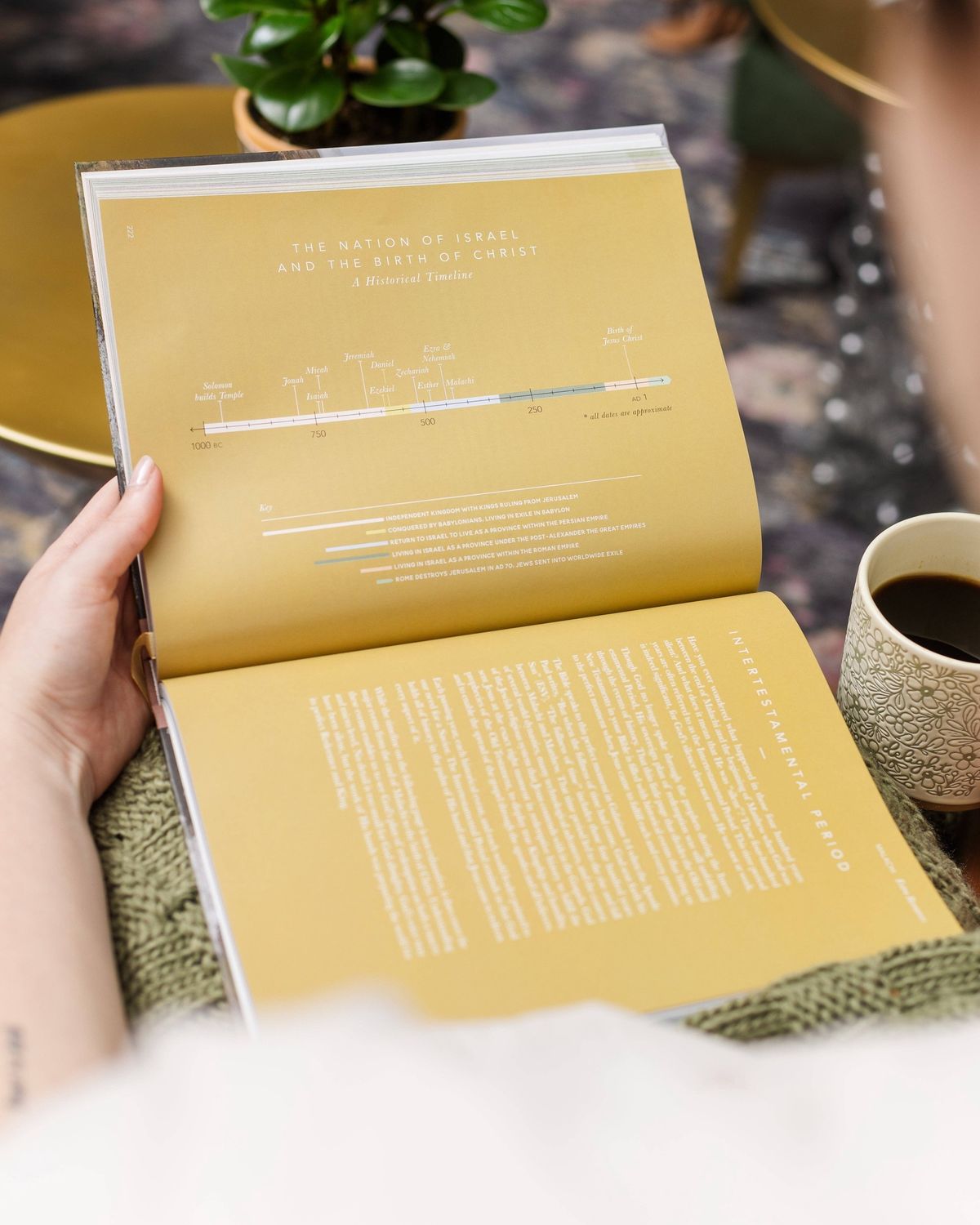 The Bible Handbook | Coffee Table Book