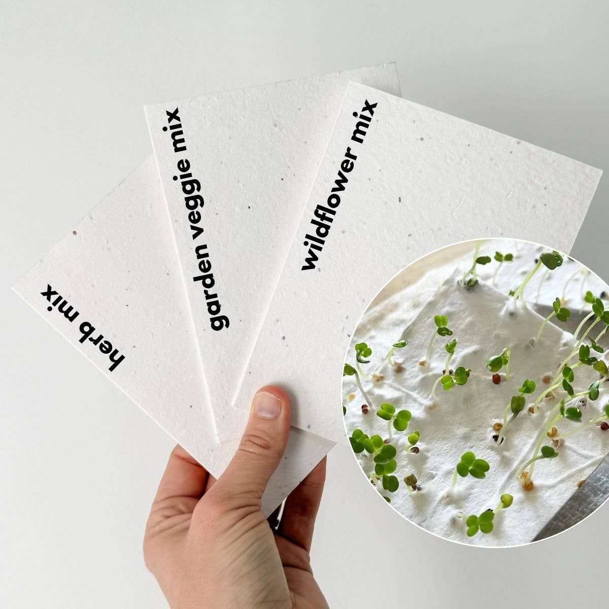 Champagne Plantable Greeting Card