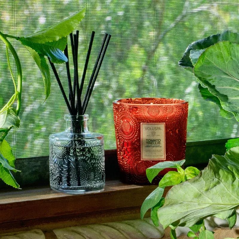 Tomato Trellis Reed Disfusser
