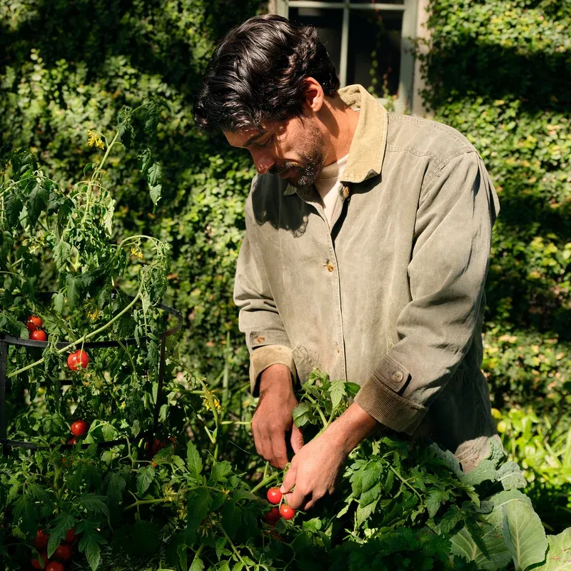 Tomato Trellis Room Spray