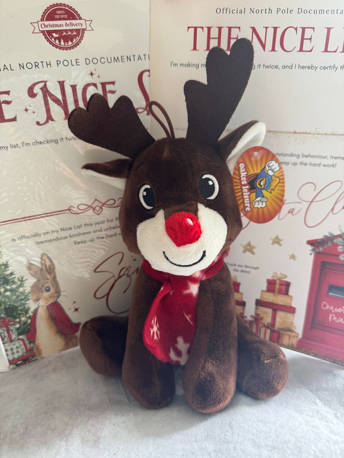 Personalised Reindeer plushy with a FREE nice list certificate