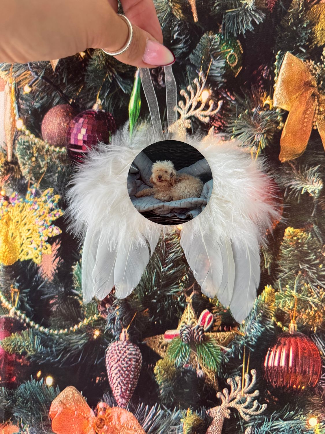 Angel wings with CIRCLE photo. Beautiful tree memorial gift