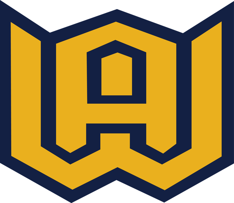 Woodstock Baseball