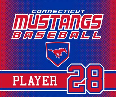 Mustangs Microfleece blanket 60"x 50"