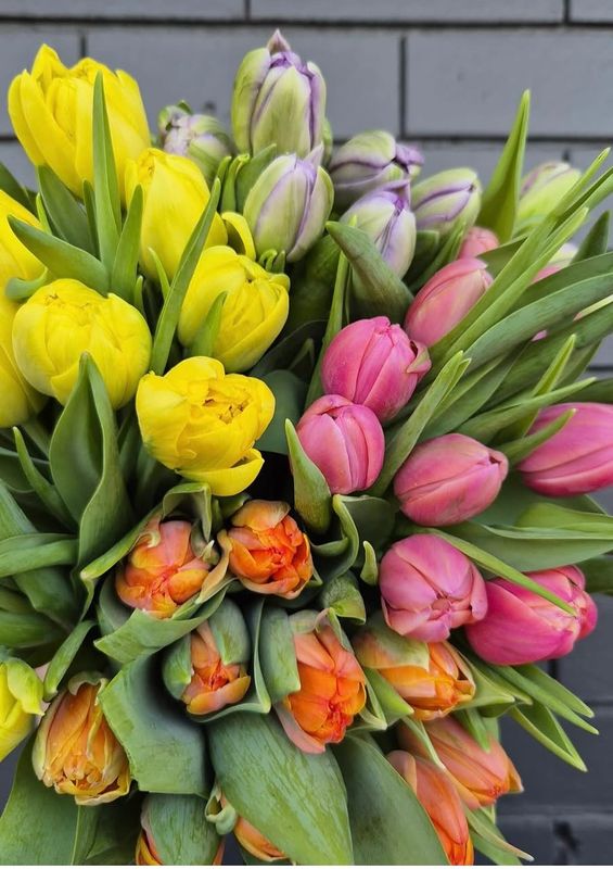 Mother's Day Sweet Tulips