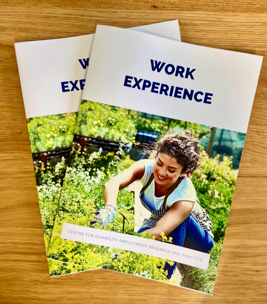 Work Experience Manual