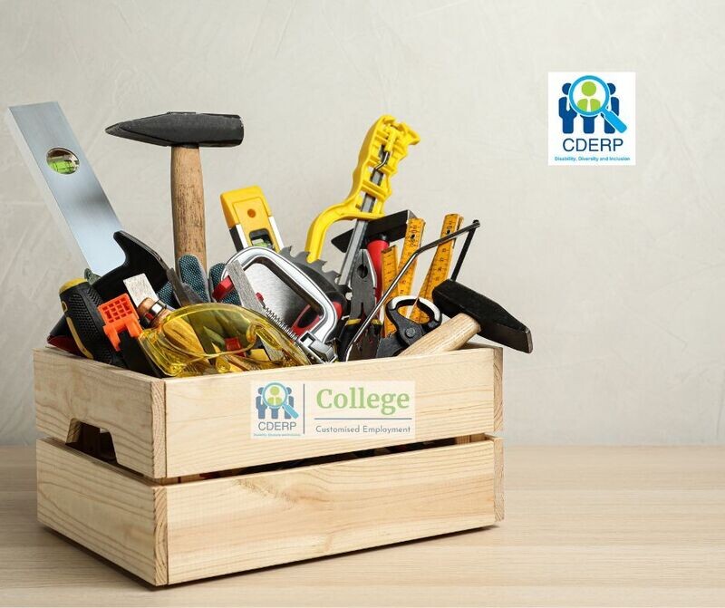 Customised Employment Toolkit