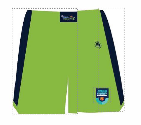 Seahawks Playing Shorts