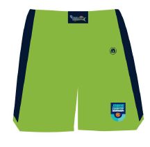 Seahawks Playing Shorts