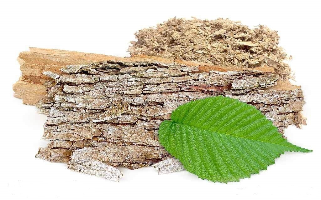 Calaherb Slippery Elm Powder 50 g / 1.76 oz