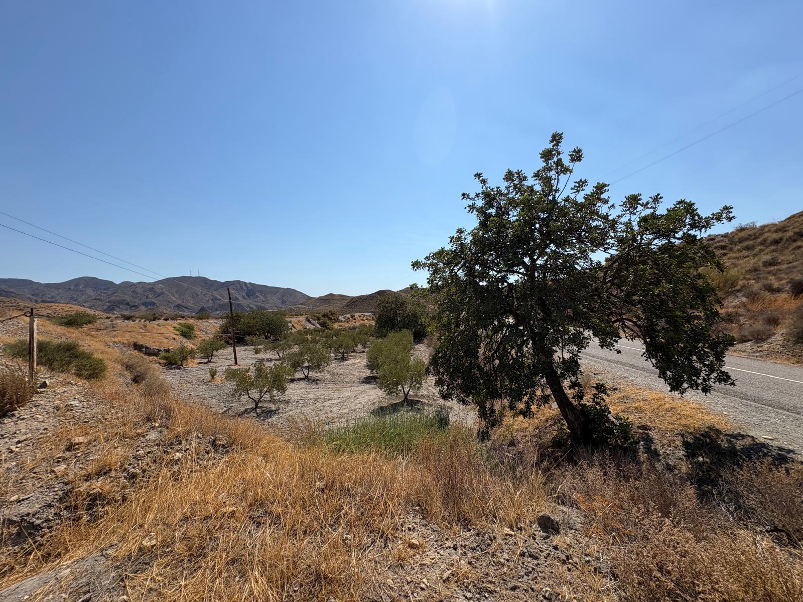 TERRENO EN VENTA