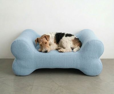 Pet Design