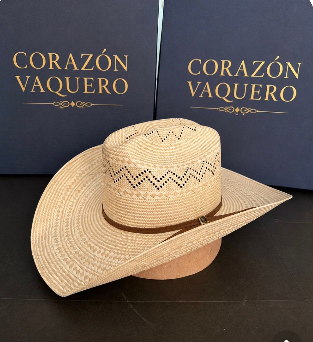 Bangora Bicolor (Lagos)