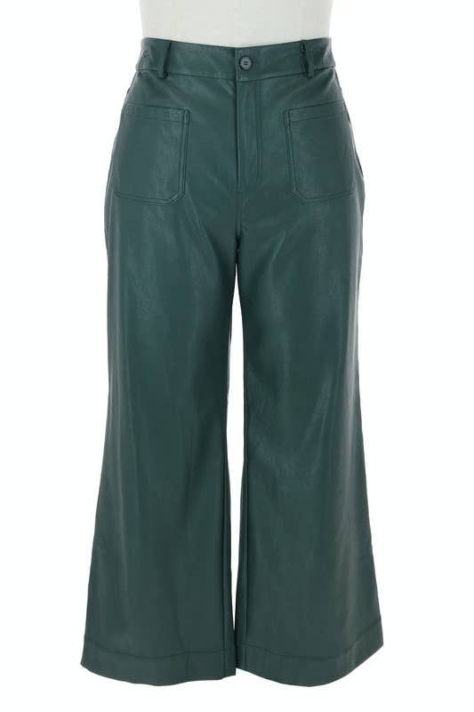 Plus Size Faux Leather Wide Leg Pants Astro  green, Color: Astro Green, Size: 2XL
