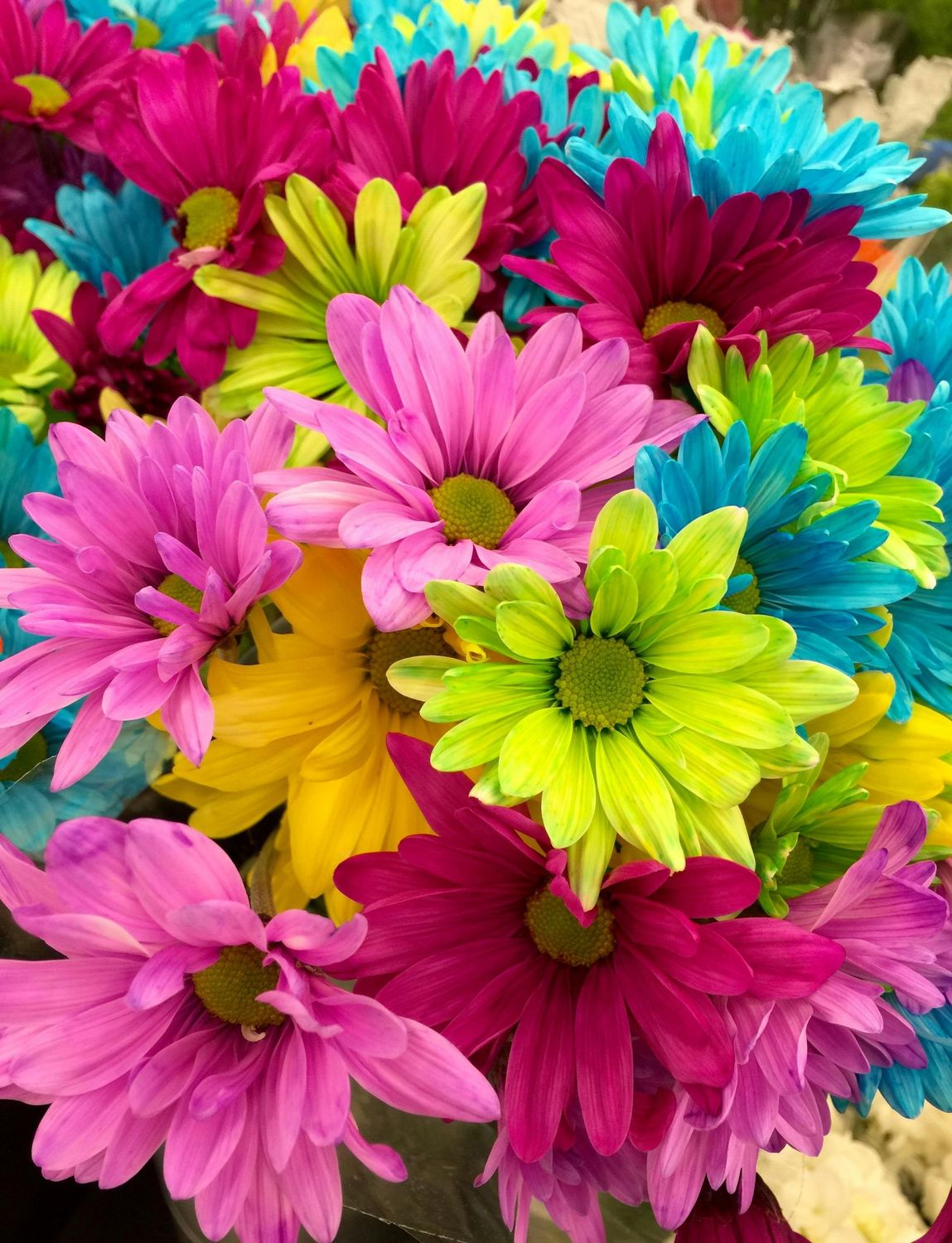 Flowers (Sample Product)