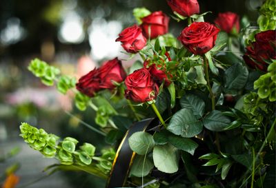 Flowers (Sample Product)