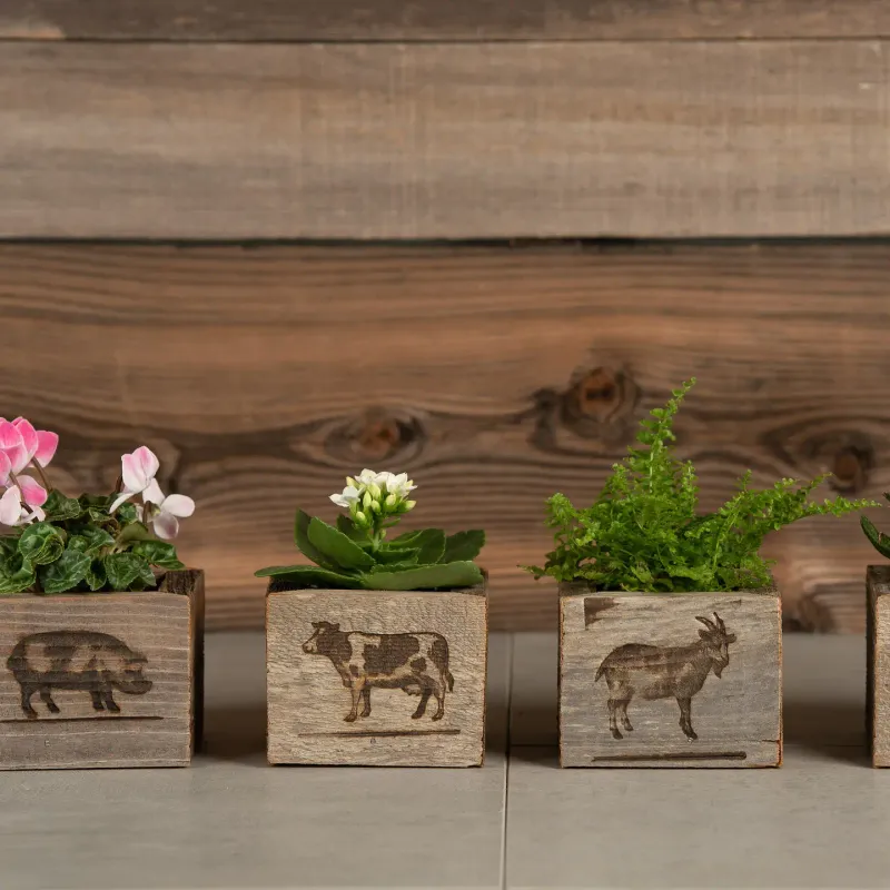 Farm Themed Reclaimed Barnwood Boxes