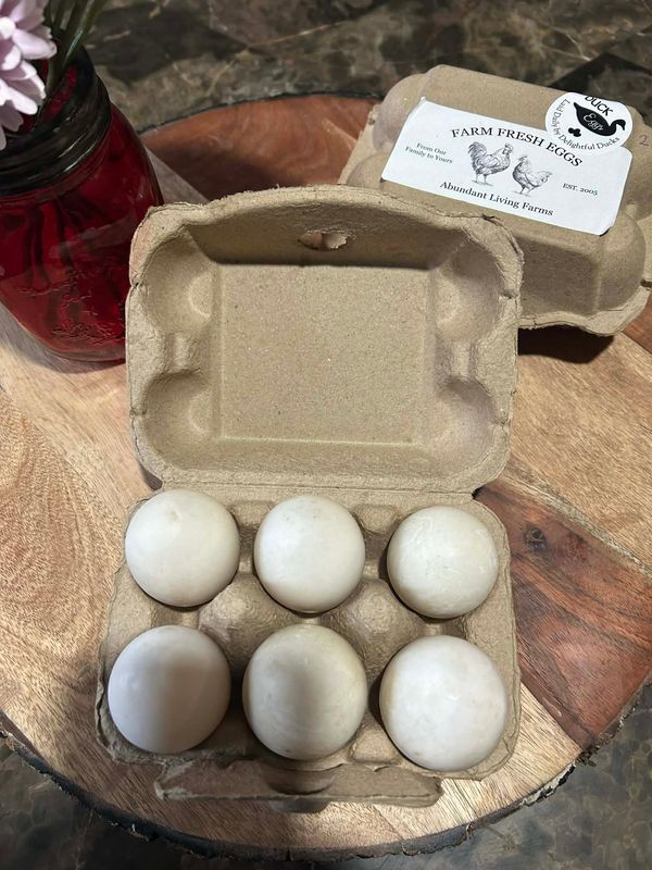 Duck Eggs