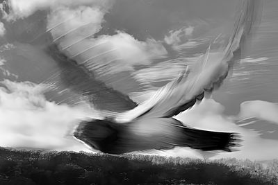 Fly Away