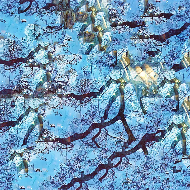 Blue Note Forest Blue Note Forest