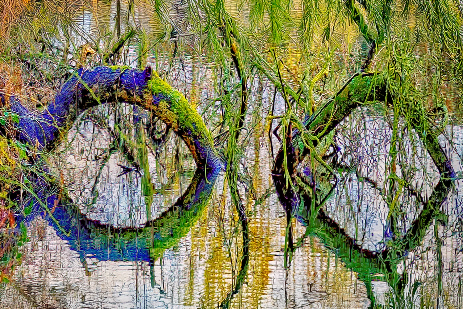 Looking Through The Glasses Of Nature Looking Through The Glasses Of Nature