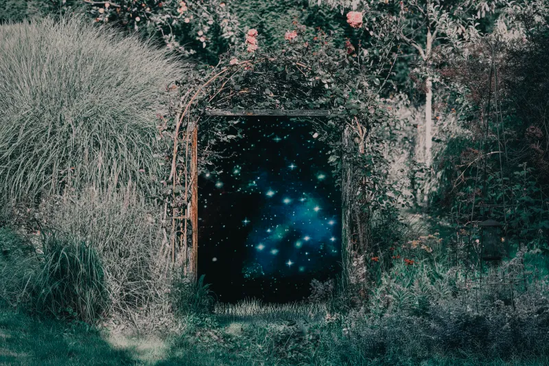 Midnight Eden Midnight Eden