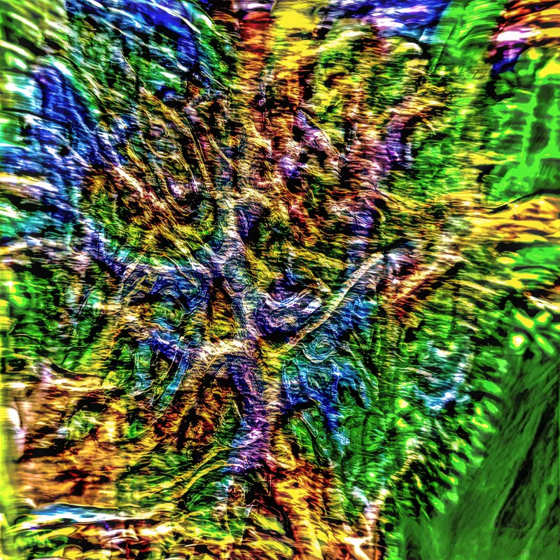 Neuronal Networks Of Fungi Neuronal Networks Of Fungi