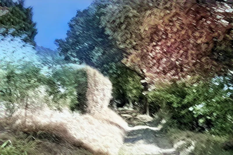 Way Of Visions Way Of Visions