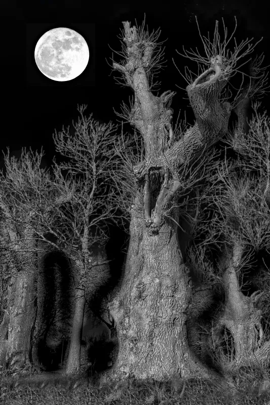 The Scream The Scream