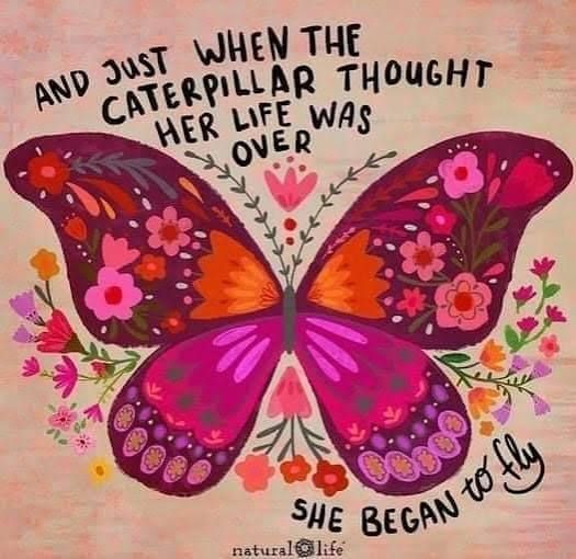 Stickers:She Began to Fly Sticker