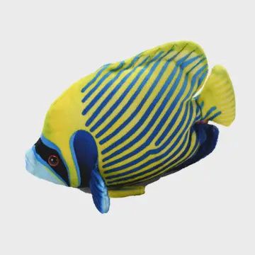 Emporer Angelfish Stuffed Animal