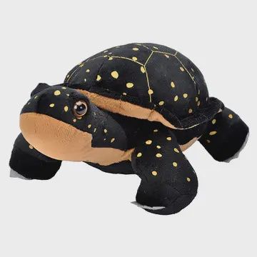 Spotted Turtle Stuffed Animal