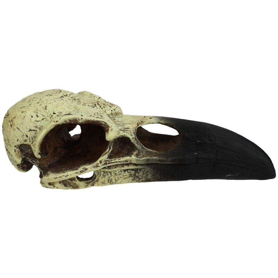Komodo Raven Skull Hideout 8"