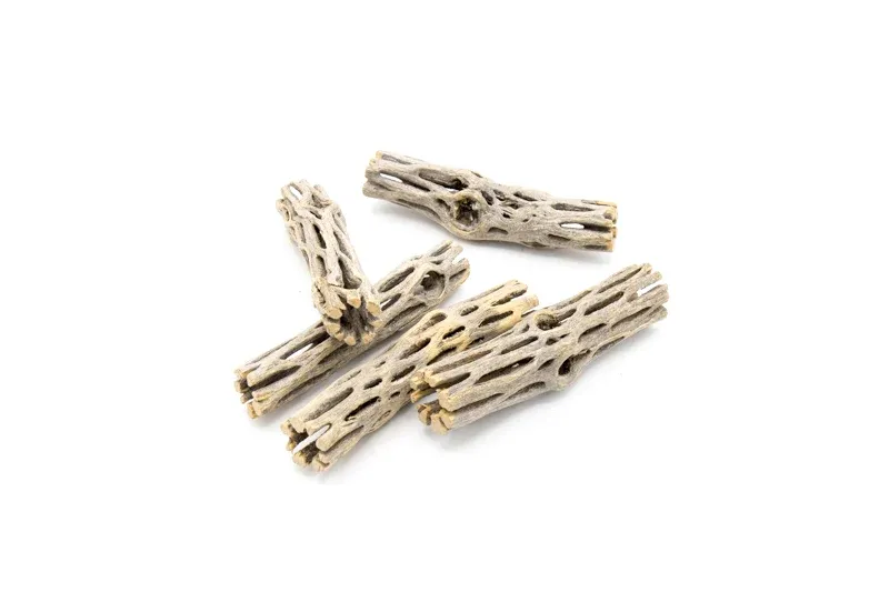 UNS Cholla Stick 6" 2pc