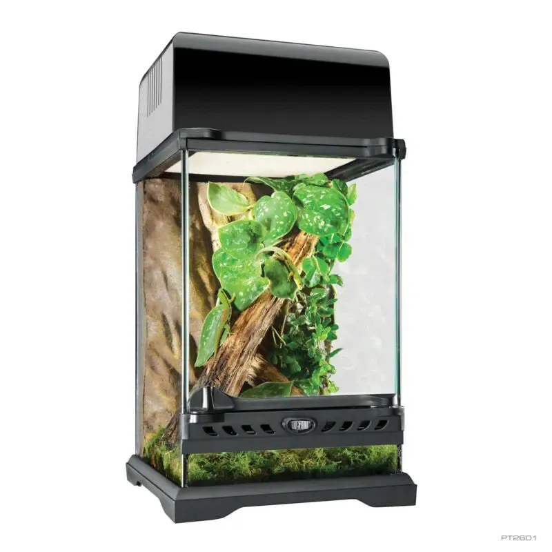 Exo Terra Natural Terrarium Nano Tall 8x8x12"