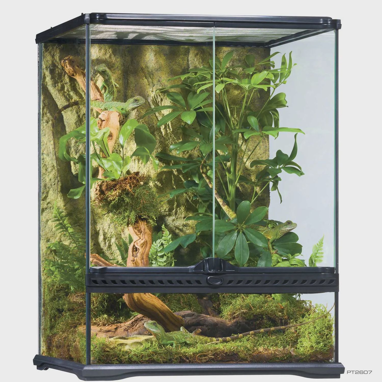 Exo Terra Natural Terrarium Small Tall 18x18x24"