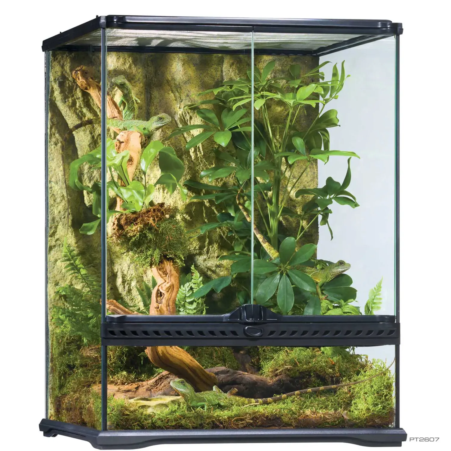 Exo Terra Natural Terrarium Small Tall 18x18x24"