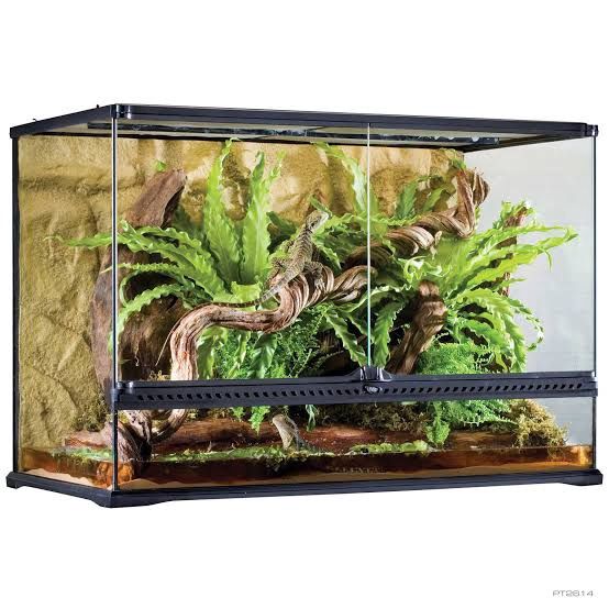 Exo Terra Glass Terrarium Large Tall 36 x 18 x 24