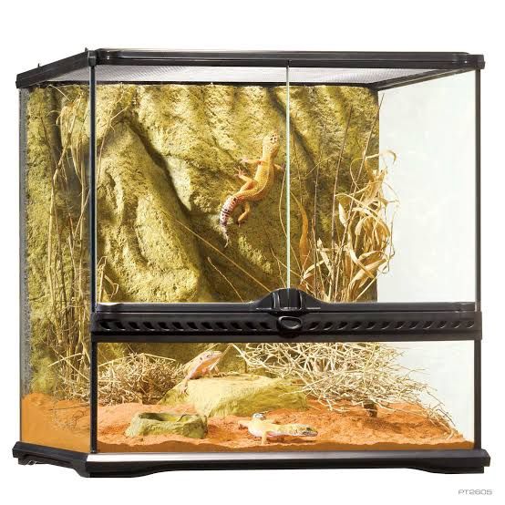 Exo Terra Natural Terrarium Small Wide 18x18x18"