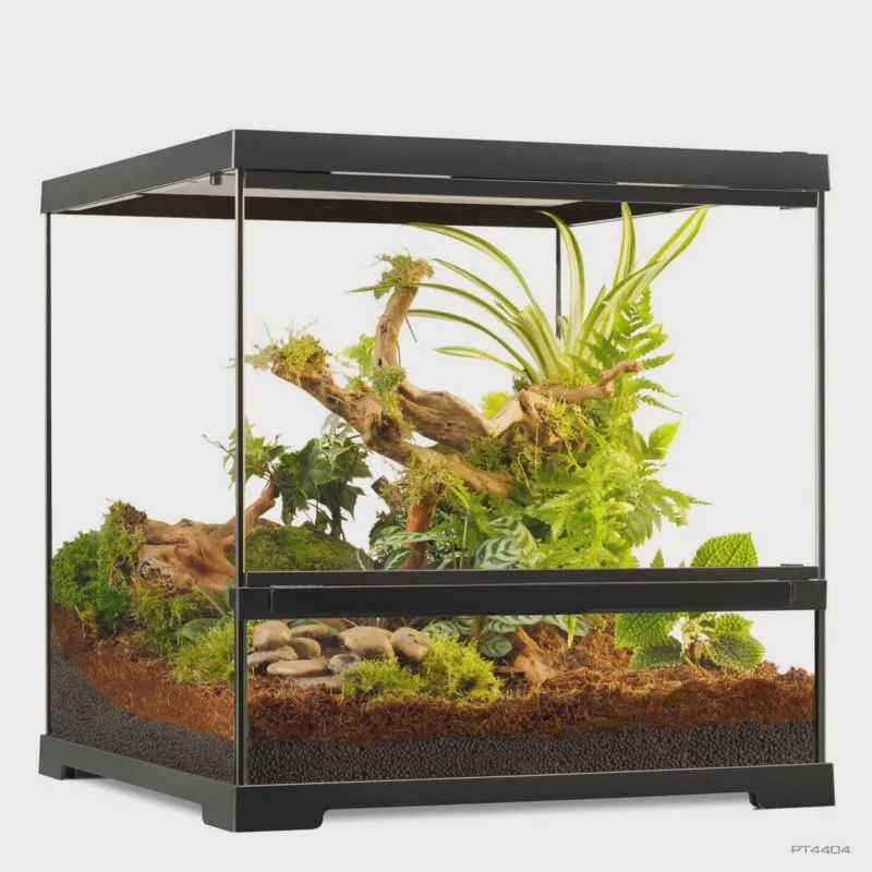 Exo Terra Pro Terrarium Wide Small 18" x 18" x 18"