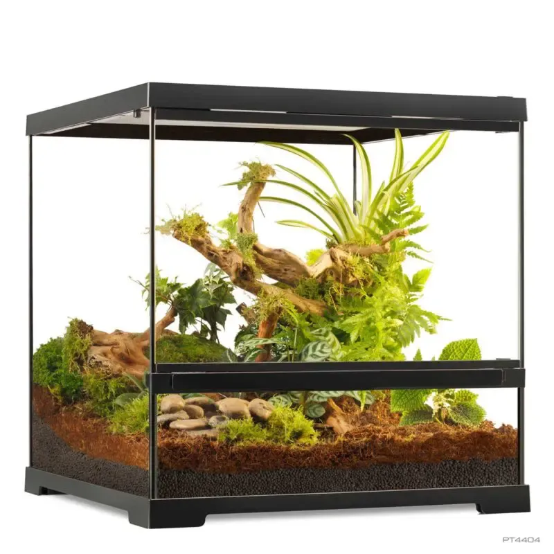Exo Terra Pro Terrarium Wide Small 18" x 18" x 18"