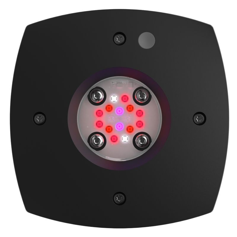 AI Prime 16HD Fuge Black