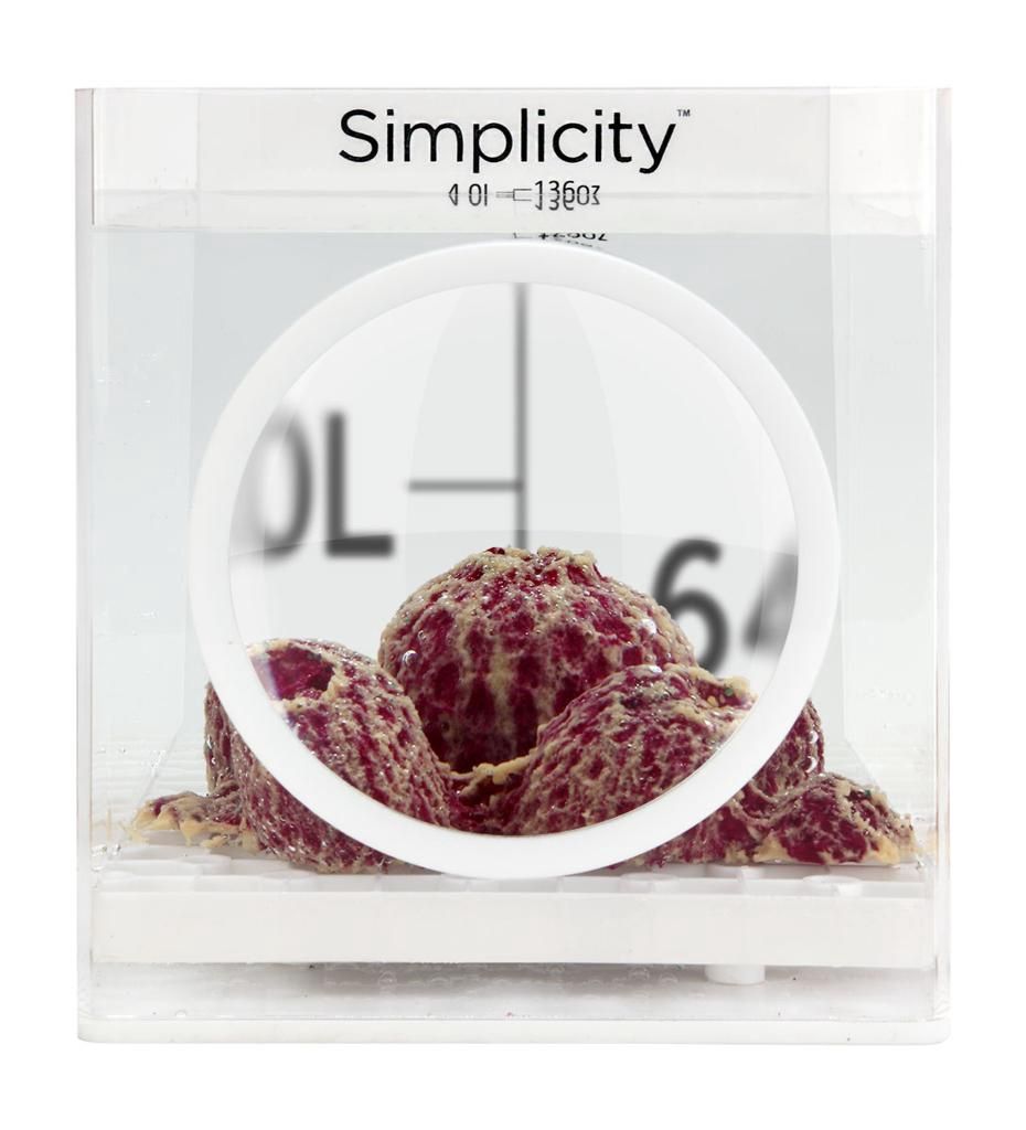 Simplicity 4L Coral Dip Container