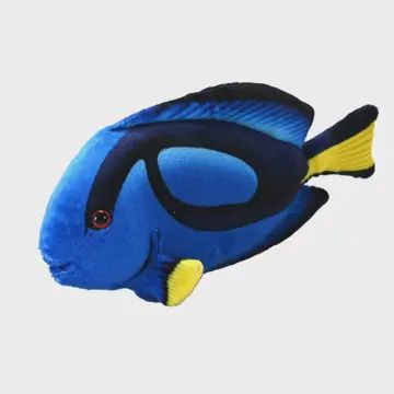 Blue Hippo Tang Stuffed Animal