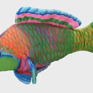 Coral Reef Parrotfish 6" Stuffed Animal