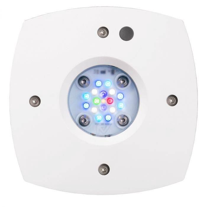 AI Prime 16HD Freshwater White