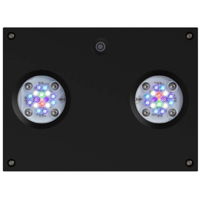 AI Hydra 32 HD Reef Black